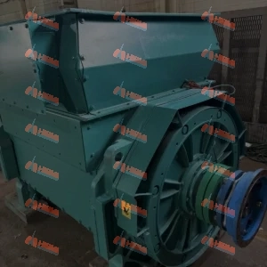 Stamford HVSI-804-R2 Альтернатор на 6 кВ и 11 кВ