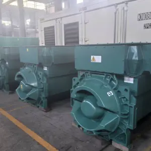 Stamford HVSI-804-R2 Альтернатор на 6 кВ и 11 кВ